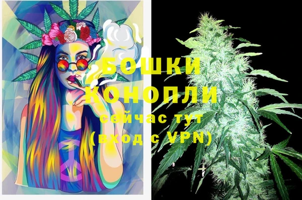 таблы Белокуриха
