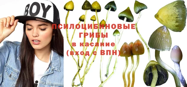 шишки Баксан