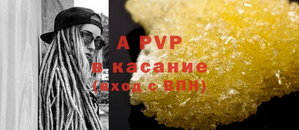 шишки Баксан