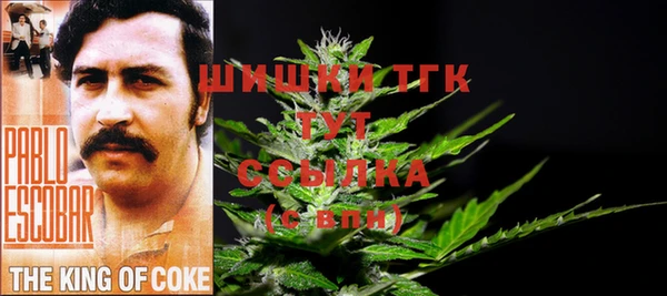 таблы Белокуриха