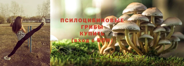 таблы Белокуриха